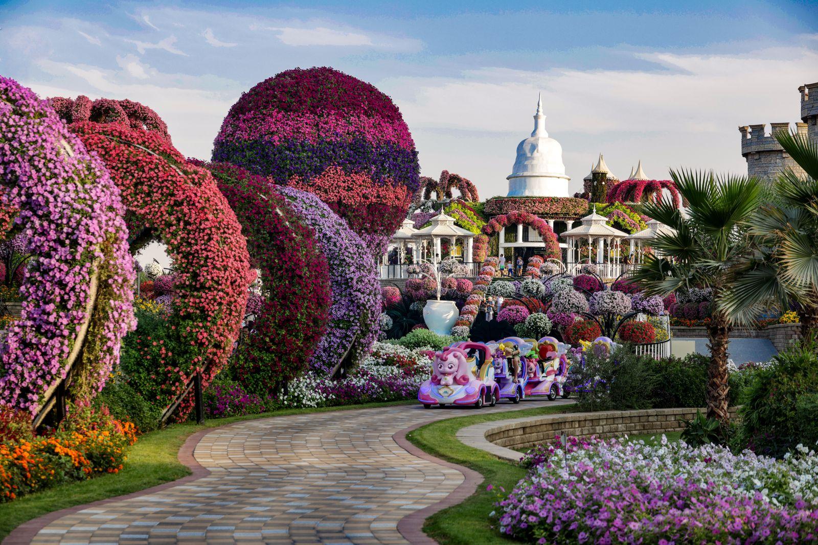Floral arches at Dubai Miracle Garden
