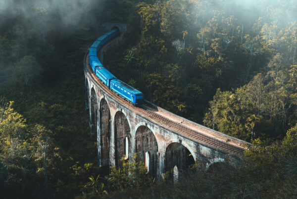 Famous-blue-train-crossing-the-Nine-Arch-Bridge-in-Ella-Sri-Lanka-scaled